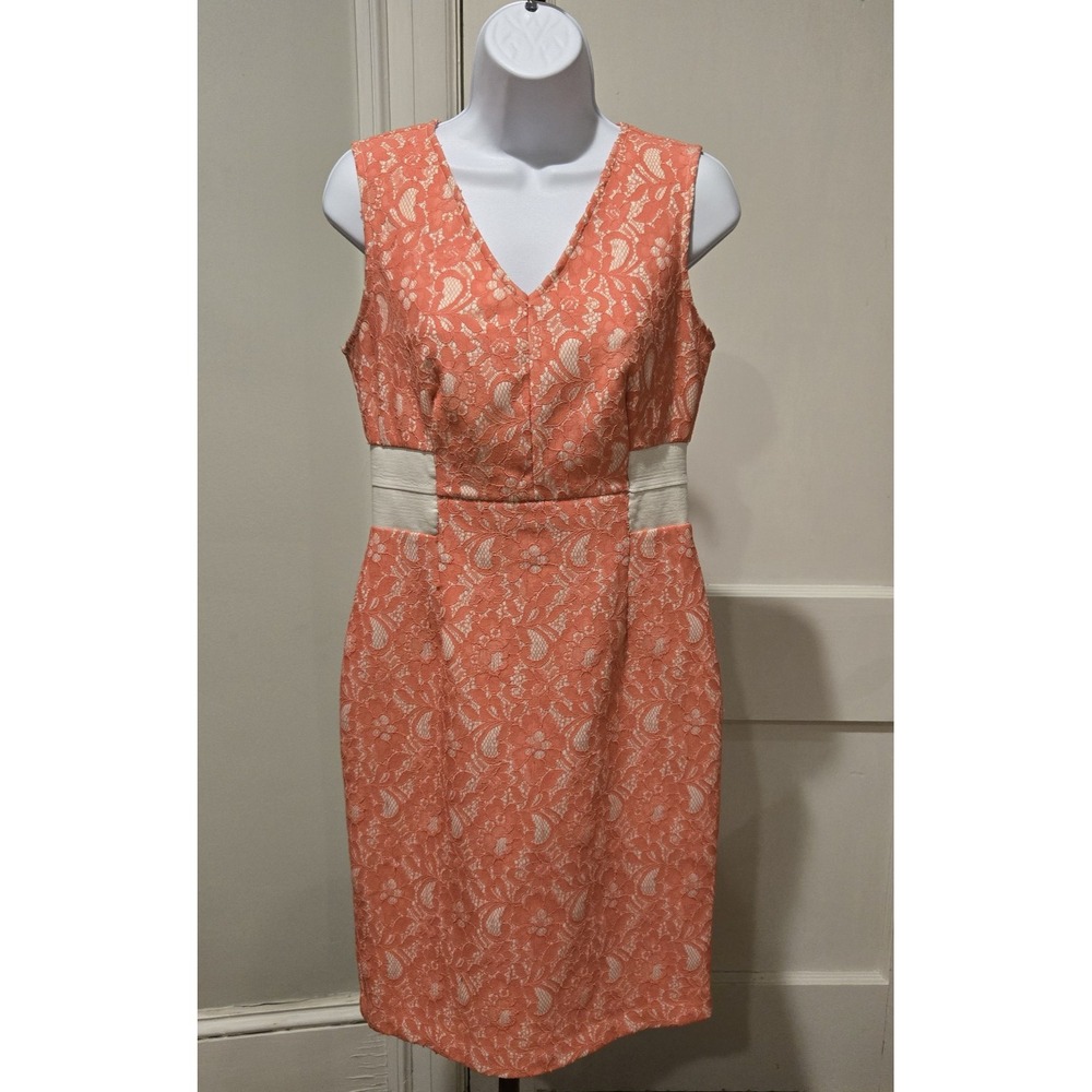 Worthington V- Neck Zip Back Pink and‎ White Lacey Knee Length Sheath Dress 8